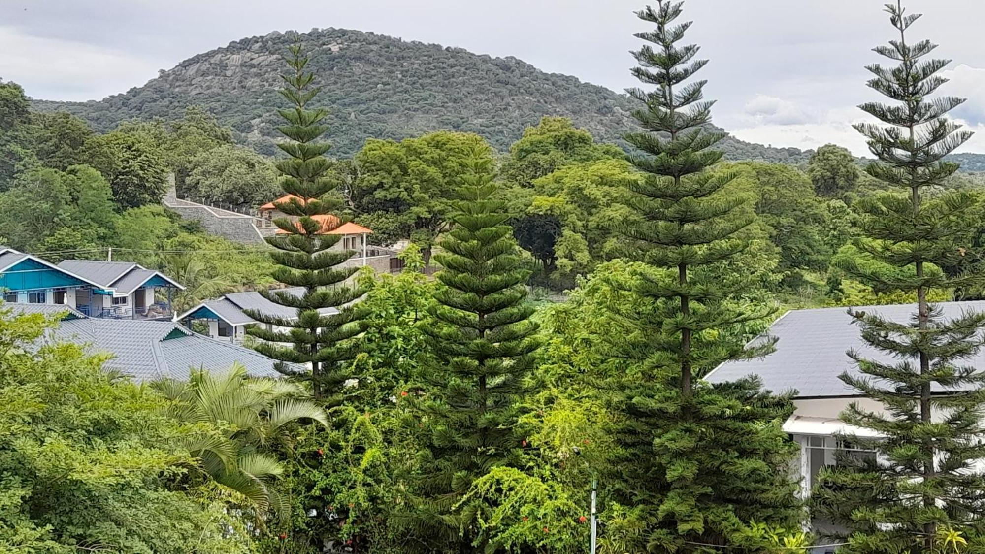 Mgm Whispering Wind'S Yelagiri Hotel Exterior foto